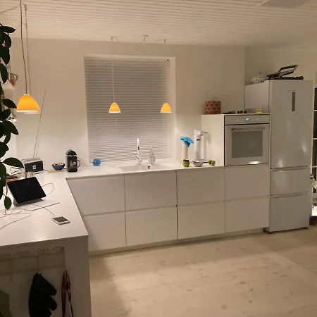 Stor Lys Med Terrasse Og Altan