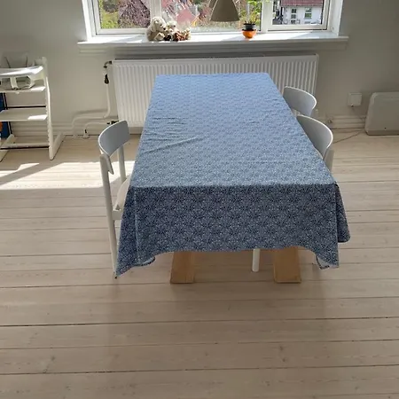 Apartment Stor Lys Med Terrasse Og Altan Helsingor