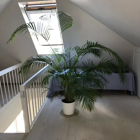 Stor Lys Med Terrasse Og Altan